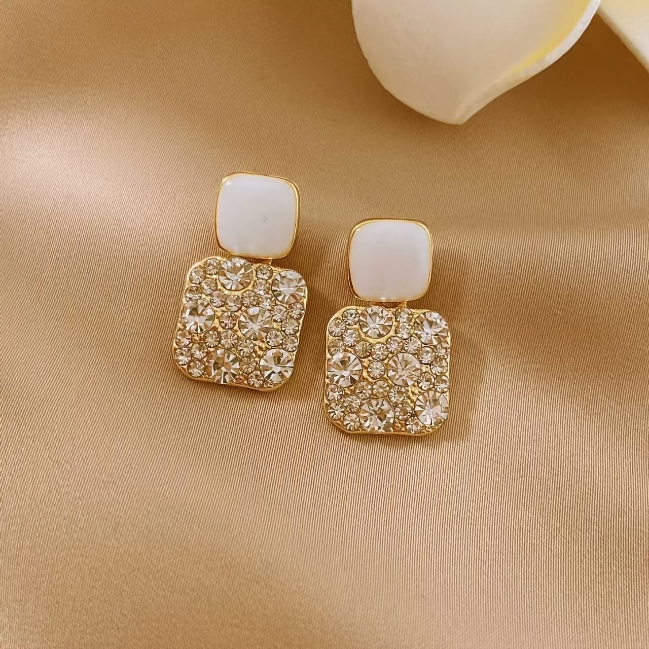 Elegant stainless steel Earrings