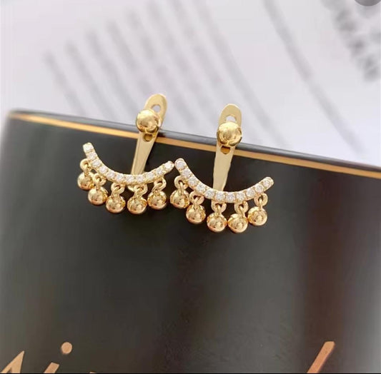 Elegant stainless steel Earrings