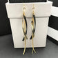 Elegant stainless steel Earrings