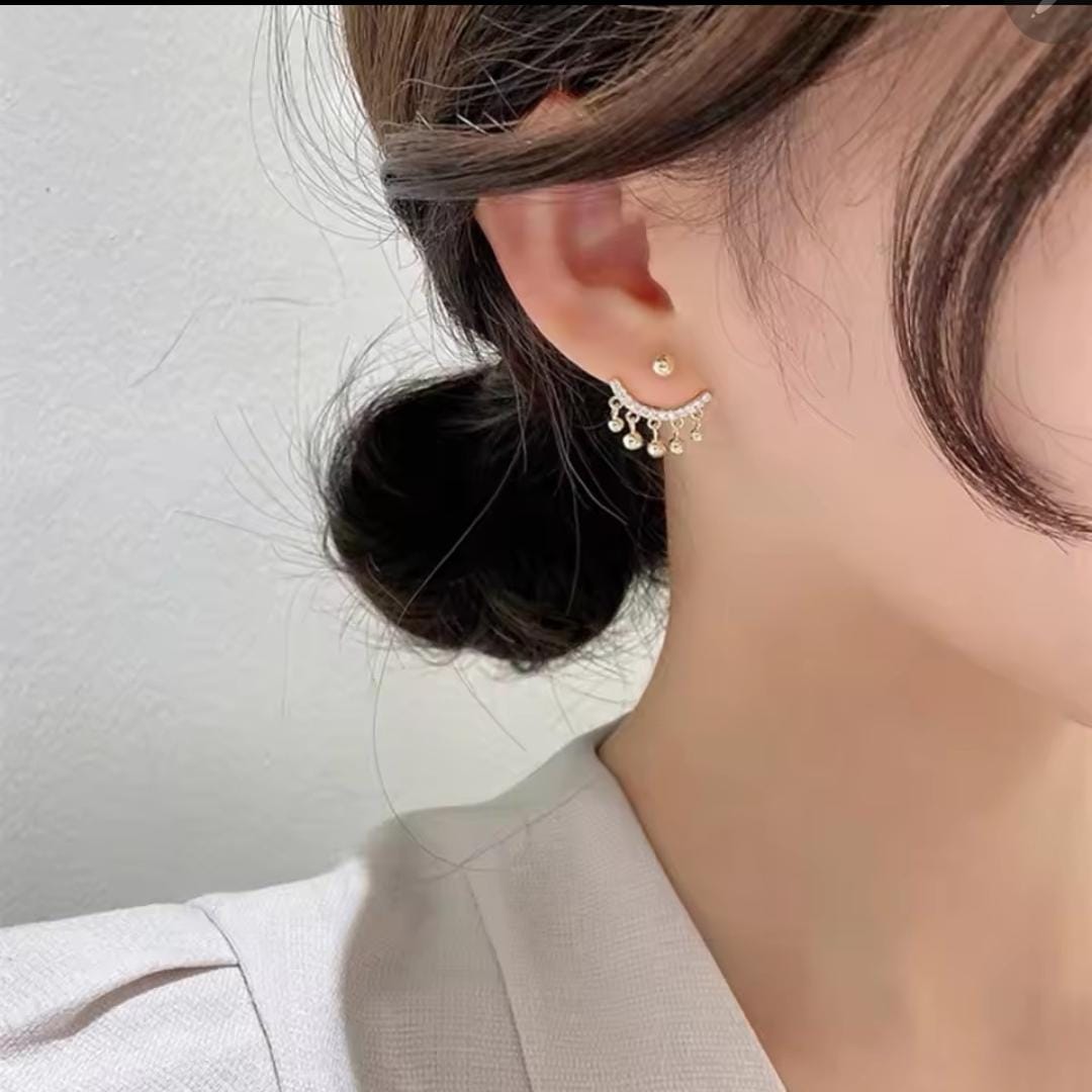 Elegant stainless steel Earrings