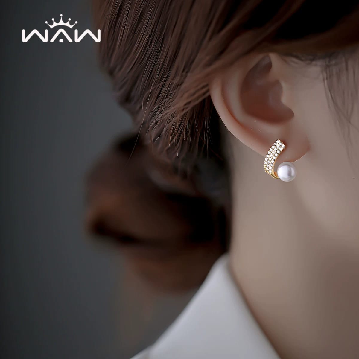 Elegant stainless steel Earrings