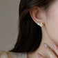 Elegant stainless steel Earrings