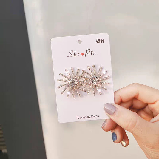 Elegant stainless steel Earrings