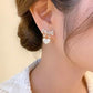 Elegant stainless steel Earrings