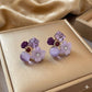 Elegant stainless steel Earrings