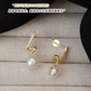 Elegant stainless steel Earrings